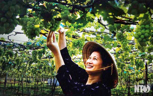 Exposition de photographies d’art Ninh Thuan- Une terre de charme